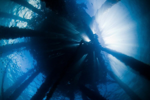 Light Show.  Looking up under the old Busselton Jetty at ... by Mick Tait 